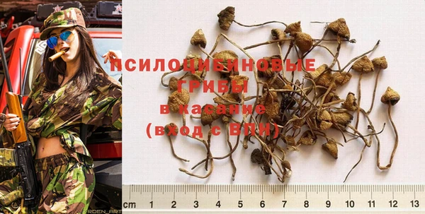 прущая мука Алзамай