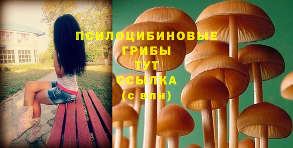 наркотики Алексин